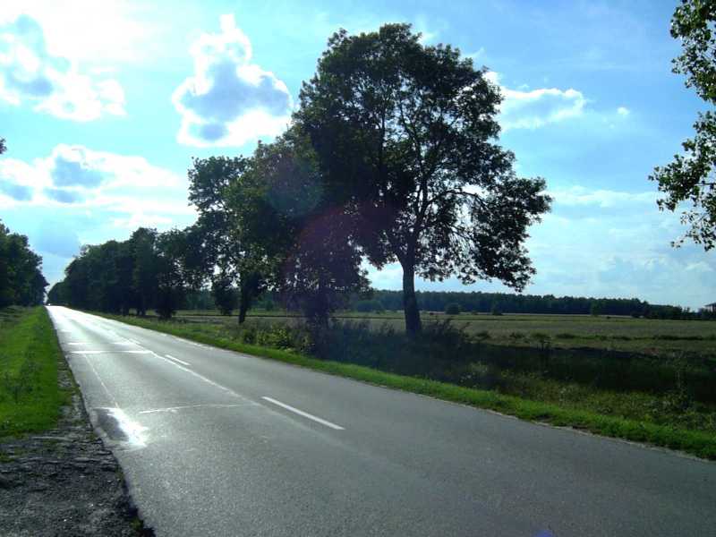 Polish countryside